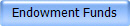 Endowment Funds